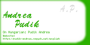 andrea pudik business card